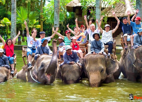 エレファントサファリ_01